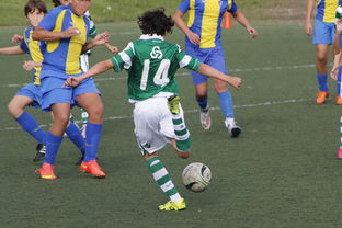 开云官网APP下载-柔佛新山展示强大进攻，上海申花未能守住客场优势，我的世界1.7.10怎么给别人管理员